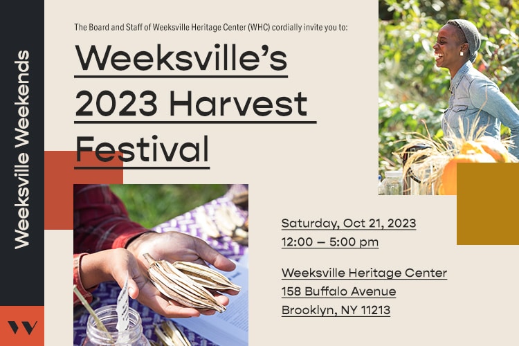 Fall-Harvest-Web